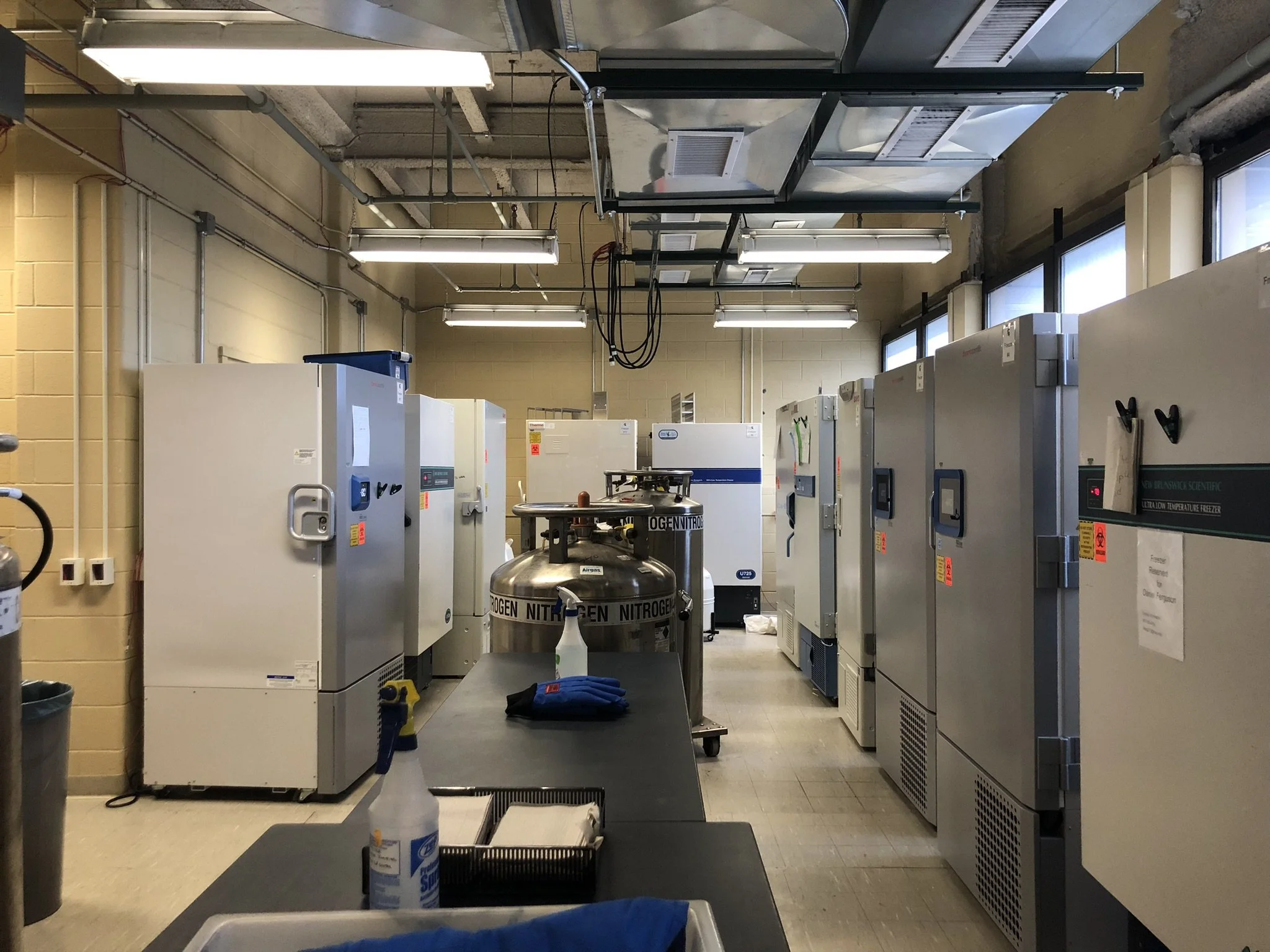 Key Freezer Core Supplemental Cores — Comprehensive Research Cores