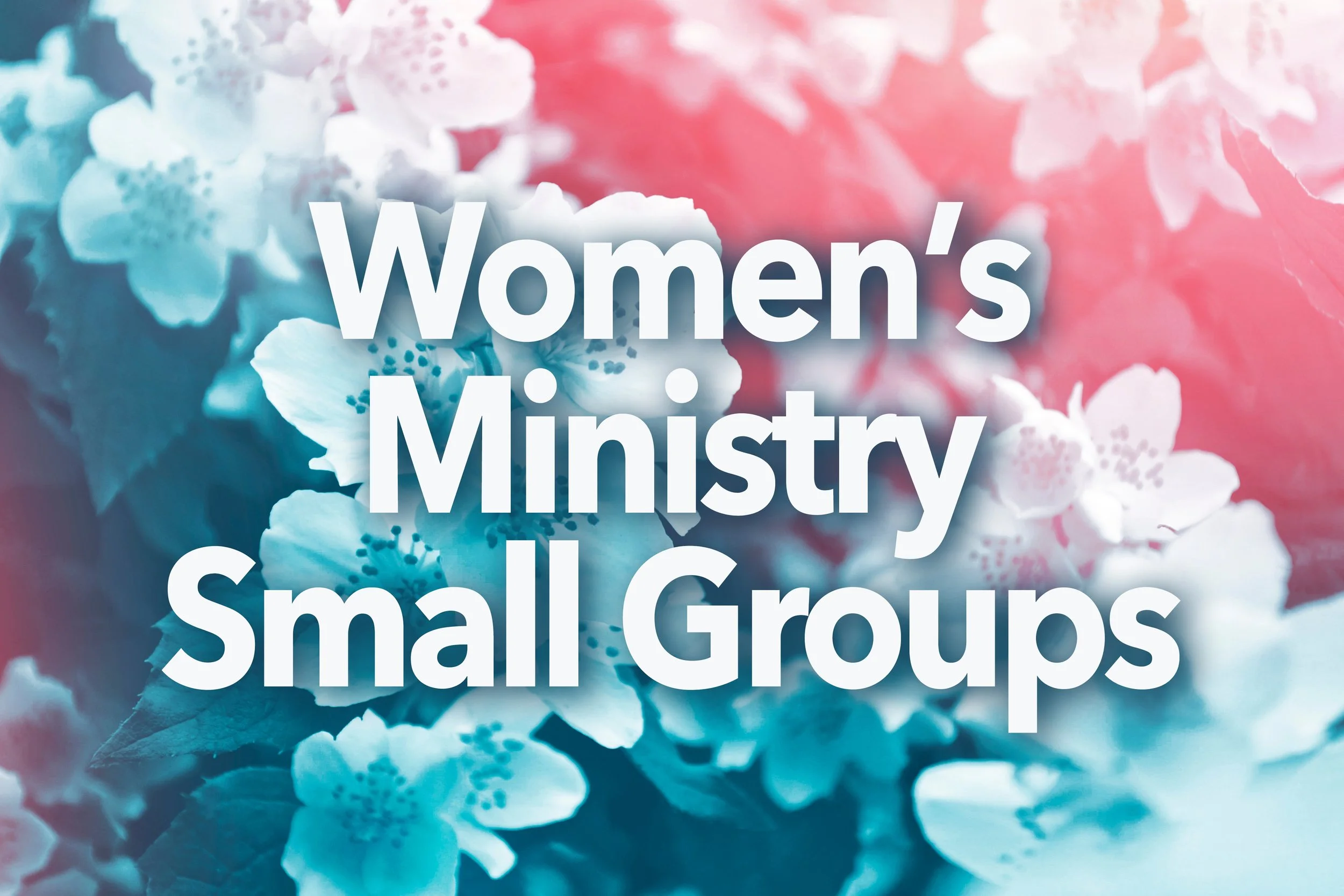 Women’s Ministry Small Groups