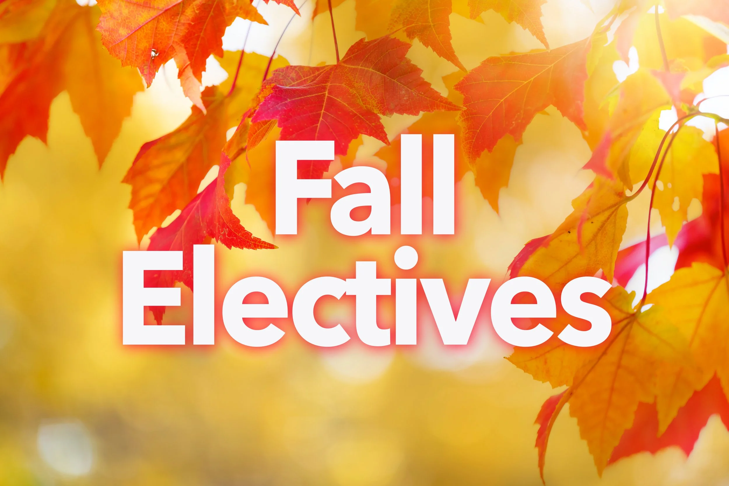 Fall Electives