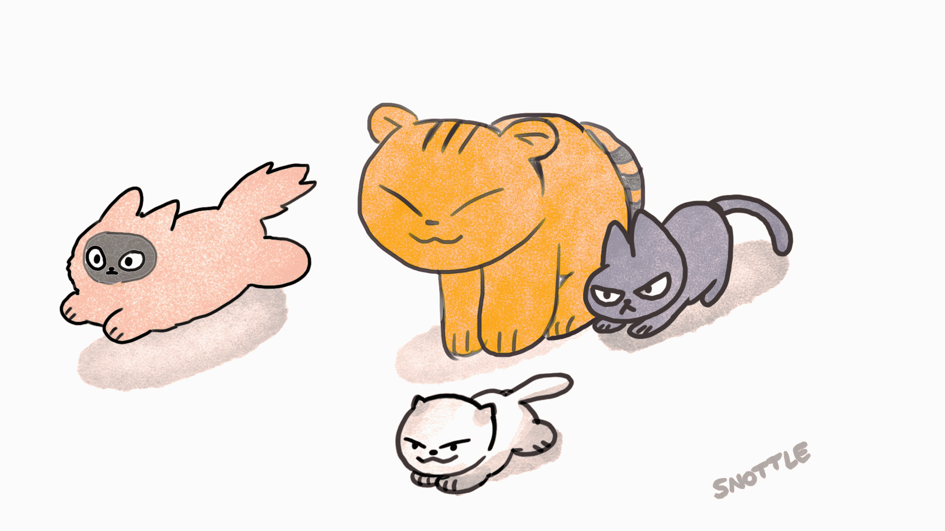 1104_ALL CATS.gif