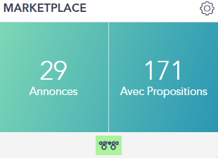 Capture d'écran d'une interface de marché en ligne montrant 29 "Annonces" et 171 "Avec Propositions".