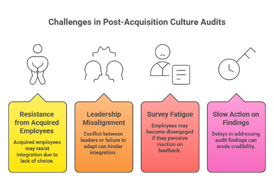 Common Challenges in Post-Acquisition Culture Audits