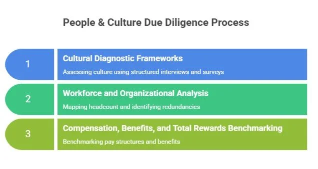 People & Culture Due Diligence Process