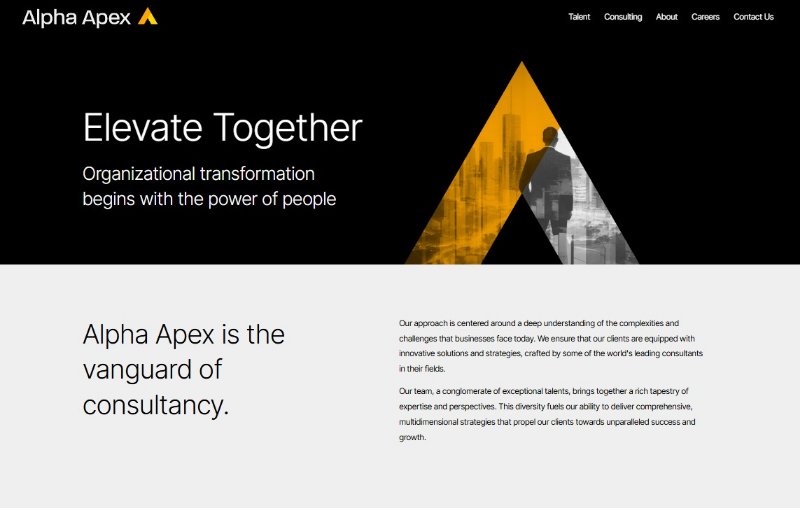 Alpha Apex Group