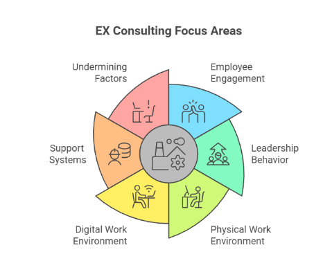 EX Consulting Focus Areas