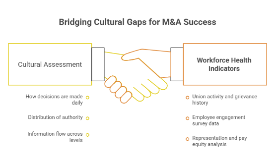 Bridging Cultural Gaps for M&A Success