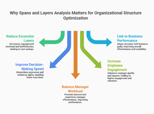 Why Spans and Layers Analysis Matters for Organizational Structure Optimization