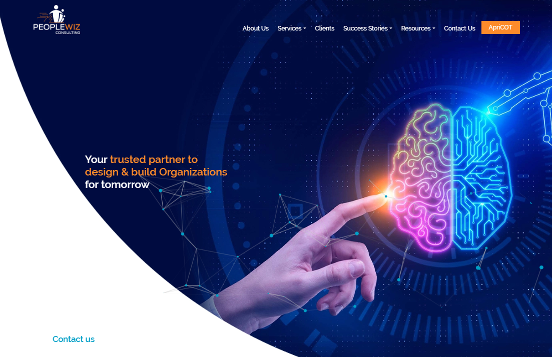 PeopleWiz Consulting