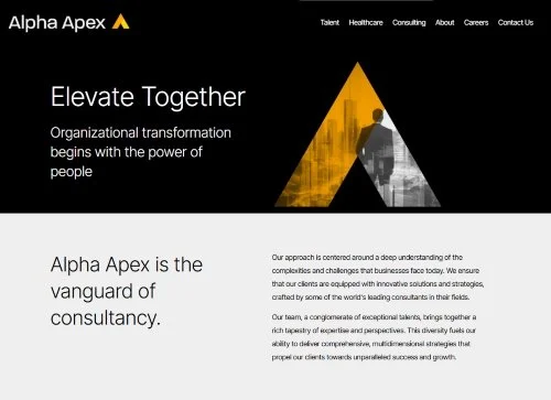 Alpha Apex Group