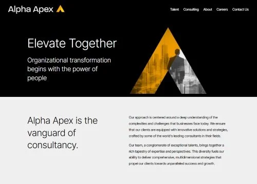 Alpha Apex Group