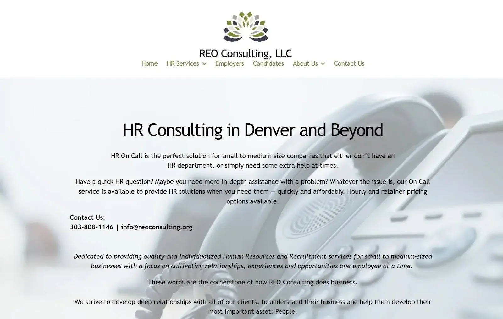 6. REO Consulting