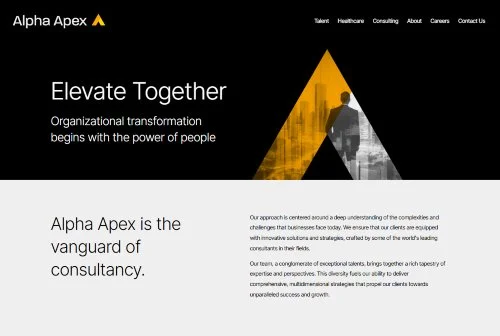 Alpha Apex Group