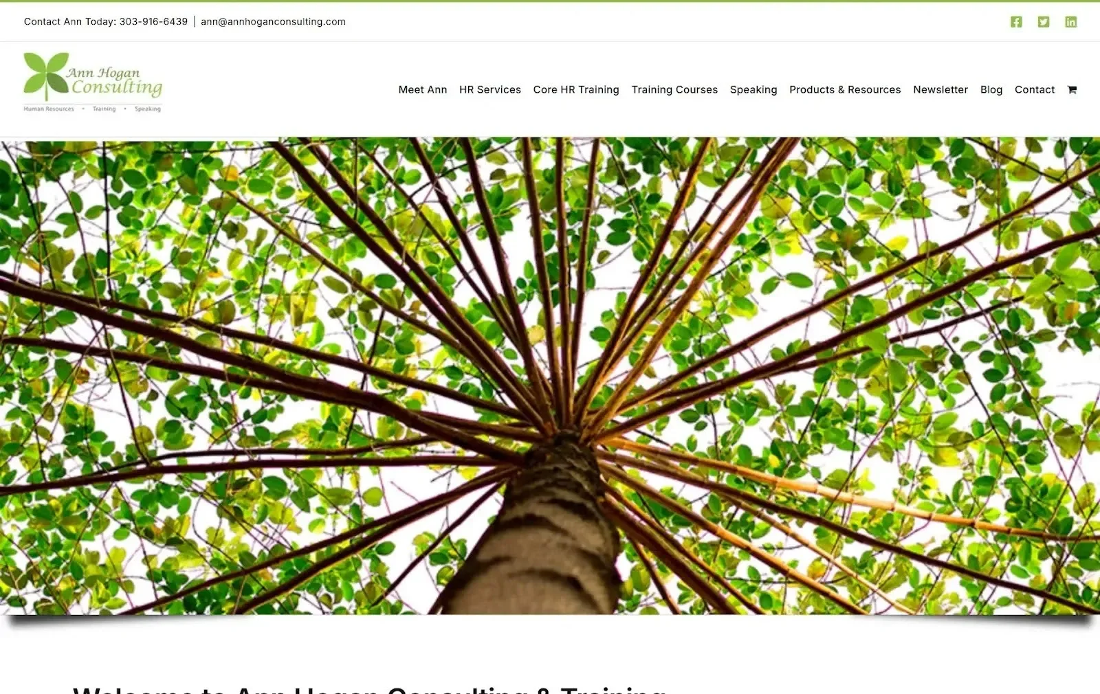 5. Ann Hogan Consulting