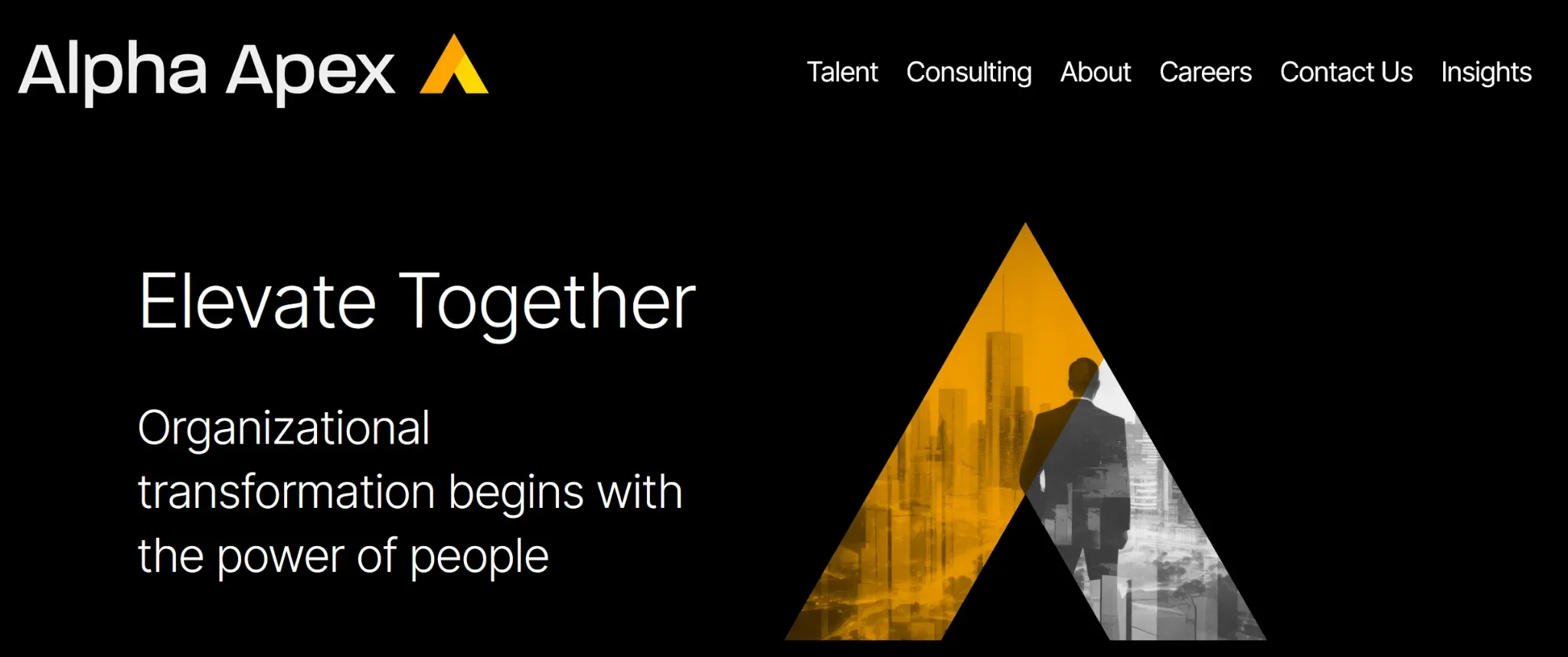 Alpha Apex Group
