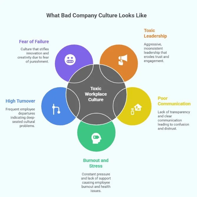 Good Vs. Bad Company Culture: Real World Examples — Alpha Apex Group ...