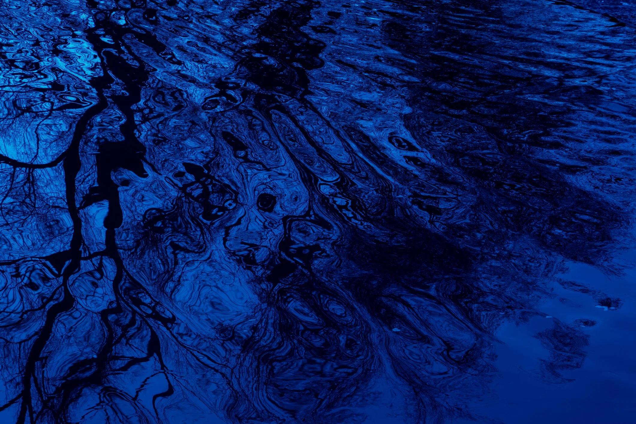 Royal Blue Membership (Annual)