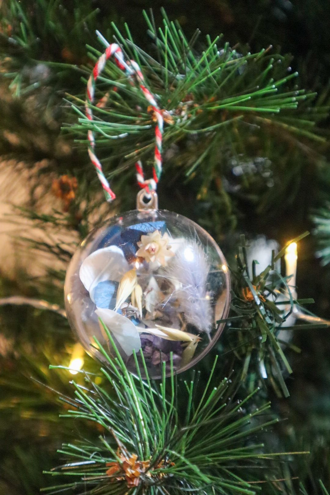 WhatsApp Image 2025-11-26 at 22.34.57 (7).jpeg