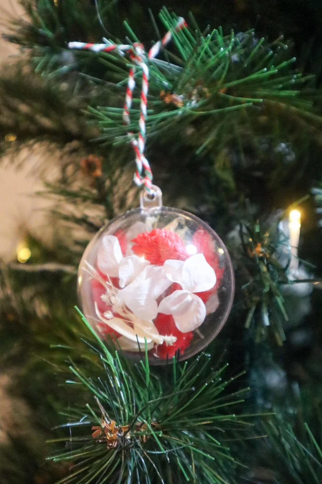 WhatsApp Image 2025-11-26 at 22.34.58 (2).jpeg