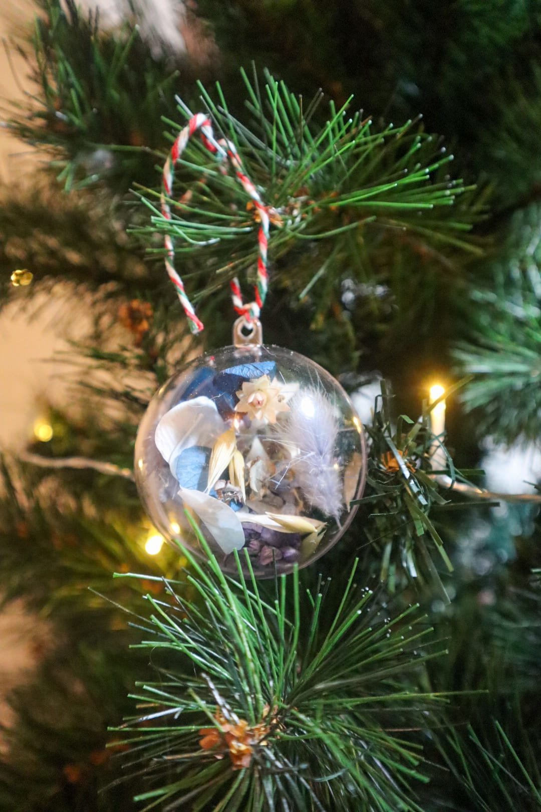 WhatsApp Image 2025-11-26 at 22.34.57 (6).jpeg