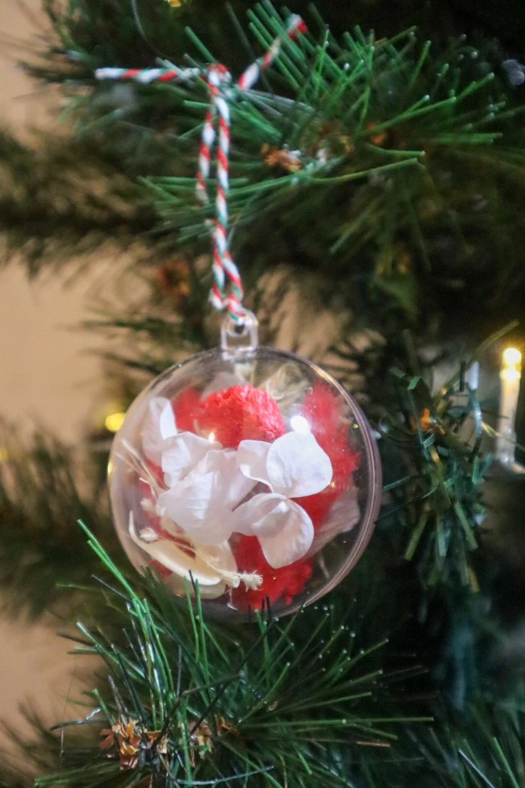 WhatsApp Image 2025-11-26 at 22.34.58 (3).jpeg