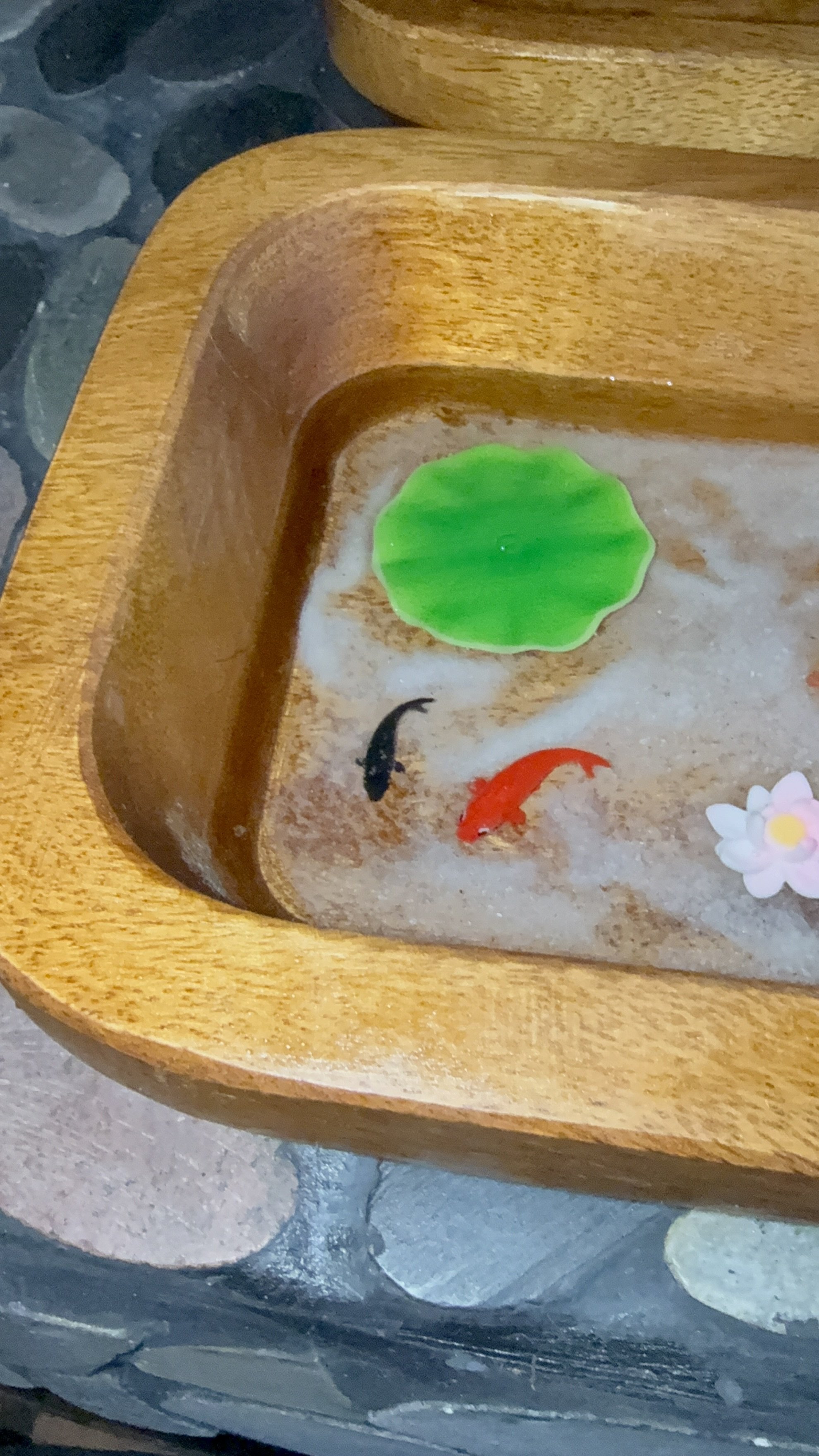 IMG_3431.jpeg