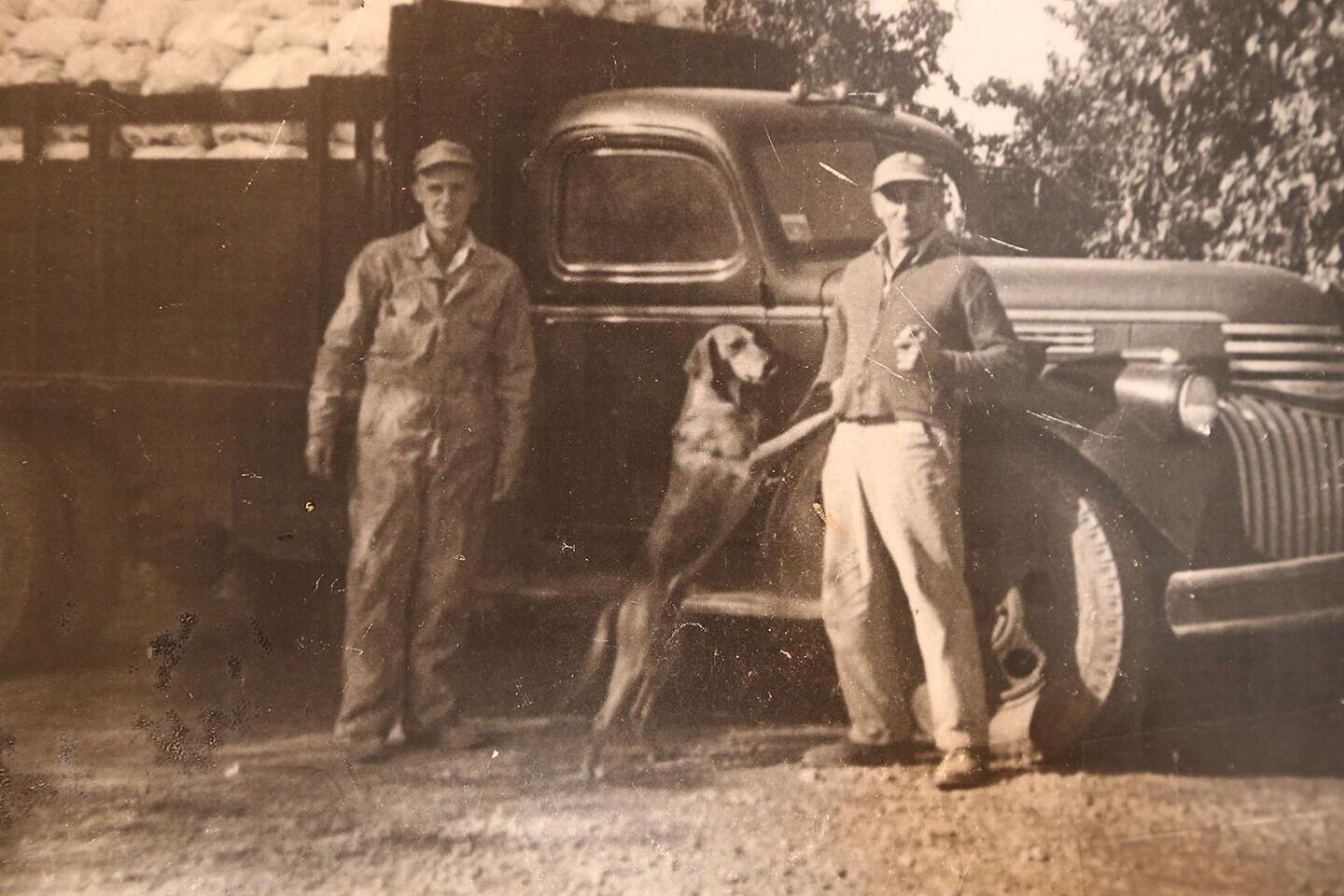 Father and son, Archie and Howard Post, have the truck loaded and ready to head into Erie to deliver potatoes. We aren&rsquo;t exactly sure when this picture was taken but it was a very long time ago. Archie and Howard are 2nd and 3rd generation farm