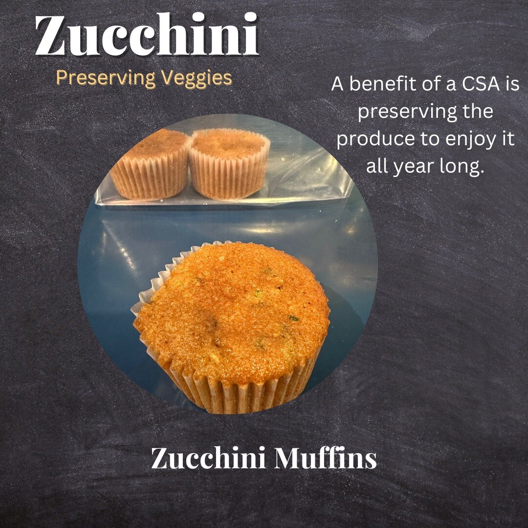 Zucchinis, with their rapid and plentiful growth, can sometimes leave us feeling overwhelmed, yet missed during the winter months. As the zucchini season drew to a close, Ana cleverly turned them into muffins, preserving their taste by freezing them.