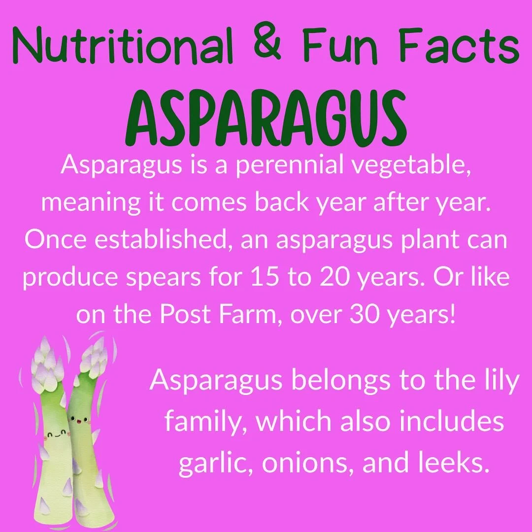 We love asparagus and always look forward to the season starting!  If you want fresh local produce ours can be purchased at Edinboro Market, Core Goods, Meadville Market House, and Westside Market on Powell. And of course at the farm (must inquire to