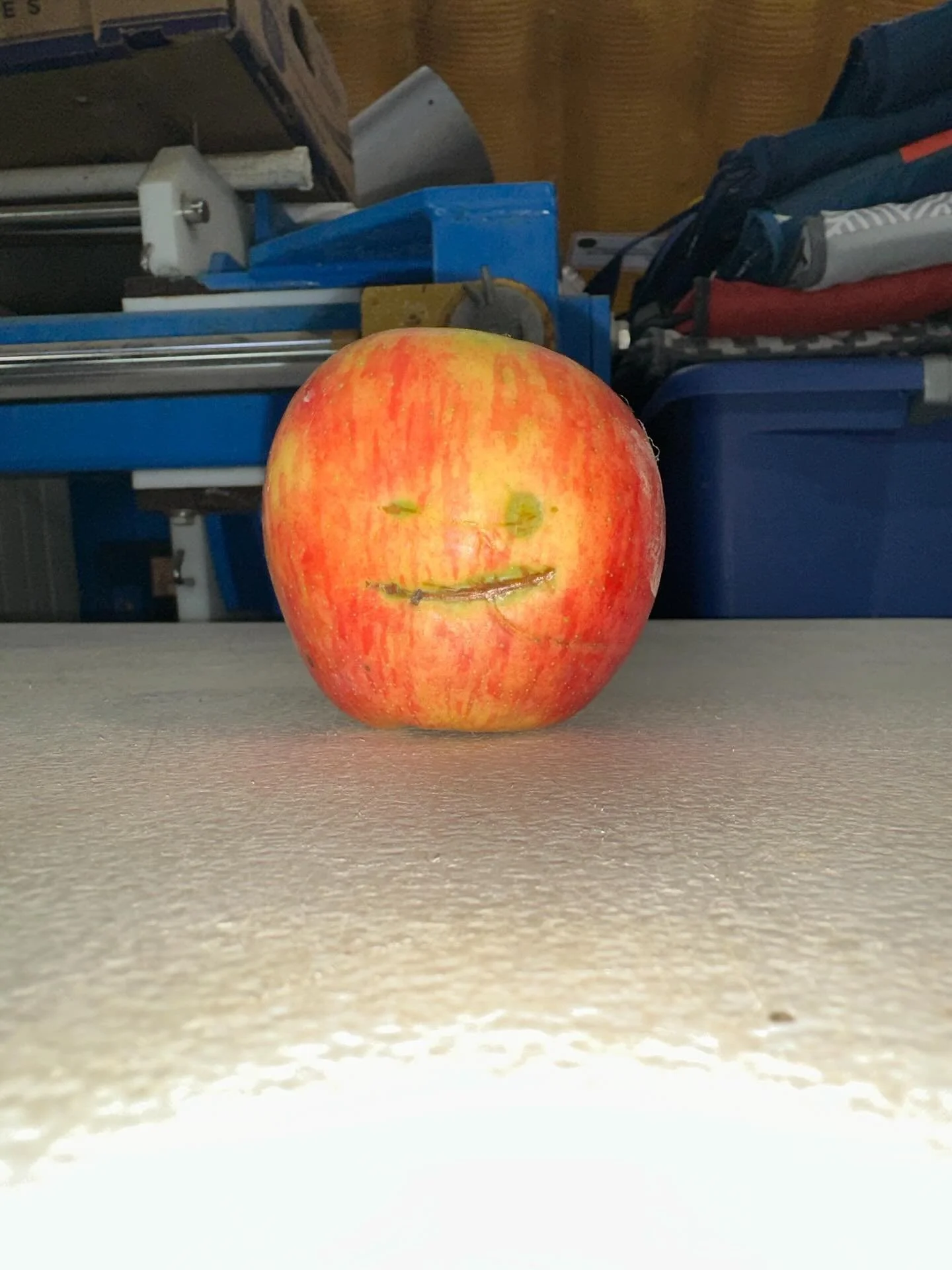 Hope everyone is having a good day!!