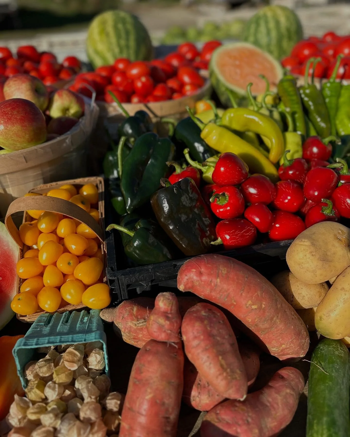 It&rsquo;s been awhile since posting anything. So here is a picture of some of the veggies you can expect if you join our CSA this year. Ana has finally started figuring out how much of everything we are going to plant. Membership forms can be found 