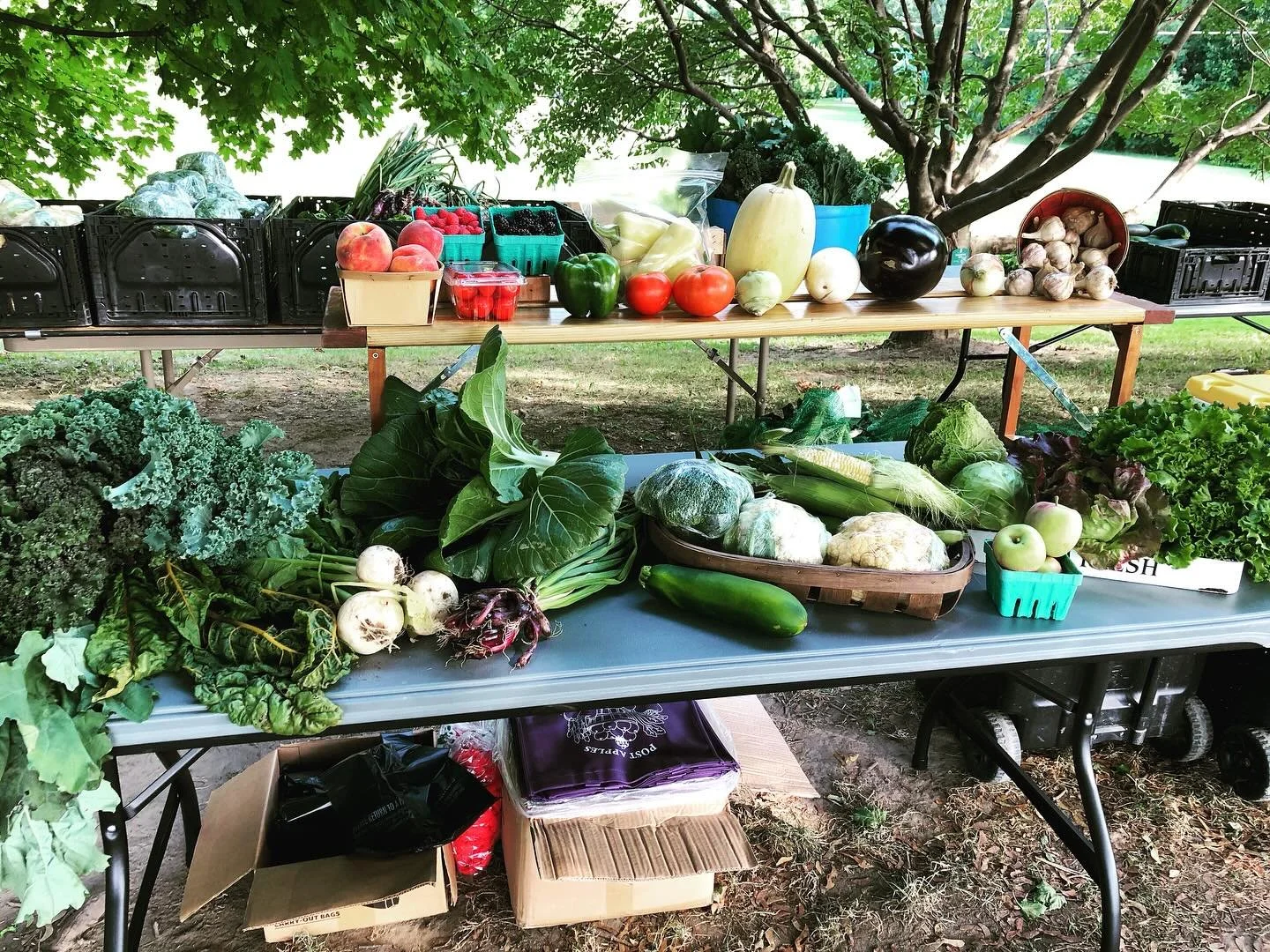 Today&rsquo;s farmers market at Little Italy is in a new location, 430 west 19th street. We hope to see you there!