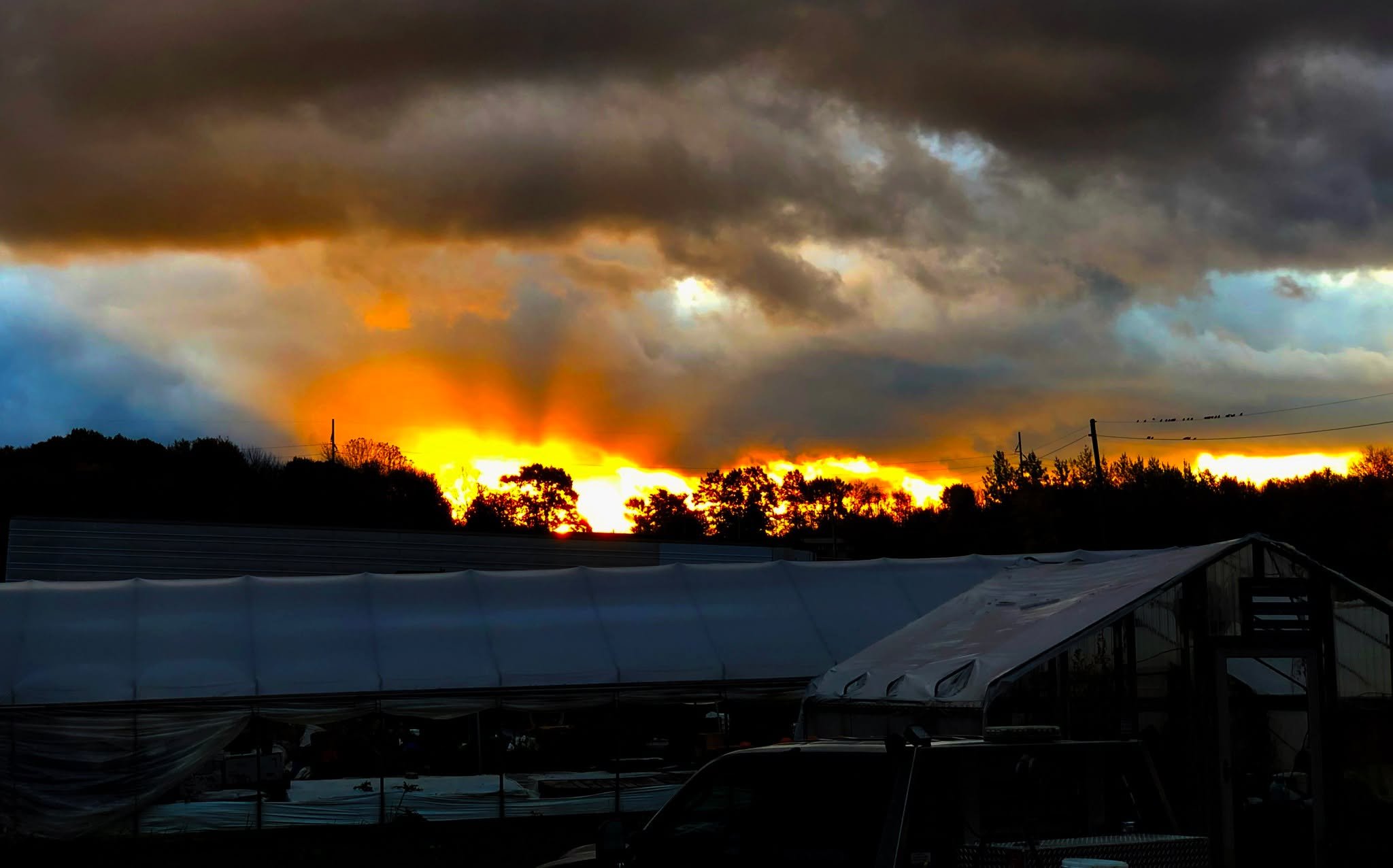 Have you ever wondered where the produce in the grocery store actually comes from?  Most of it travels from more than 2000 miles away.  What does that mean?  It means it was picked before it was ripe so it can sit on grocery store shelves for man tha