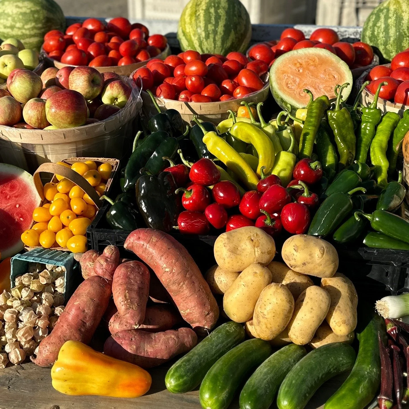 When joining our CSA you get to pick from many locations where you want to pick up your produce.  We deliver from Edinboro and Fairveiw to Westfield and Jamestown, New York.  There is even an option for home delivery.  Consider joining us in 2026 on 