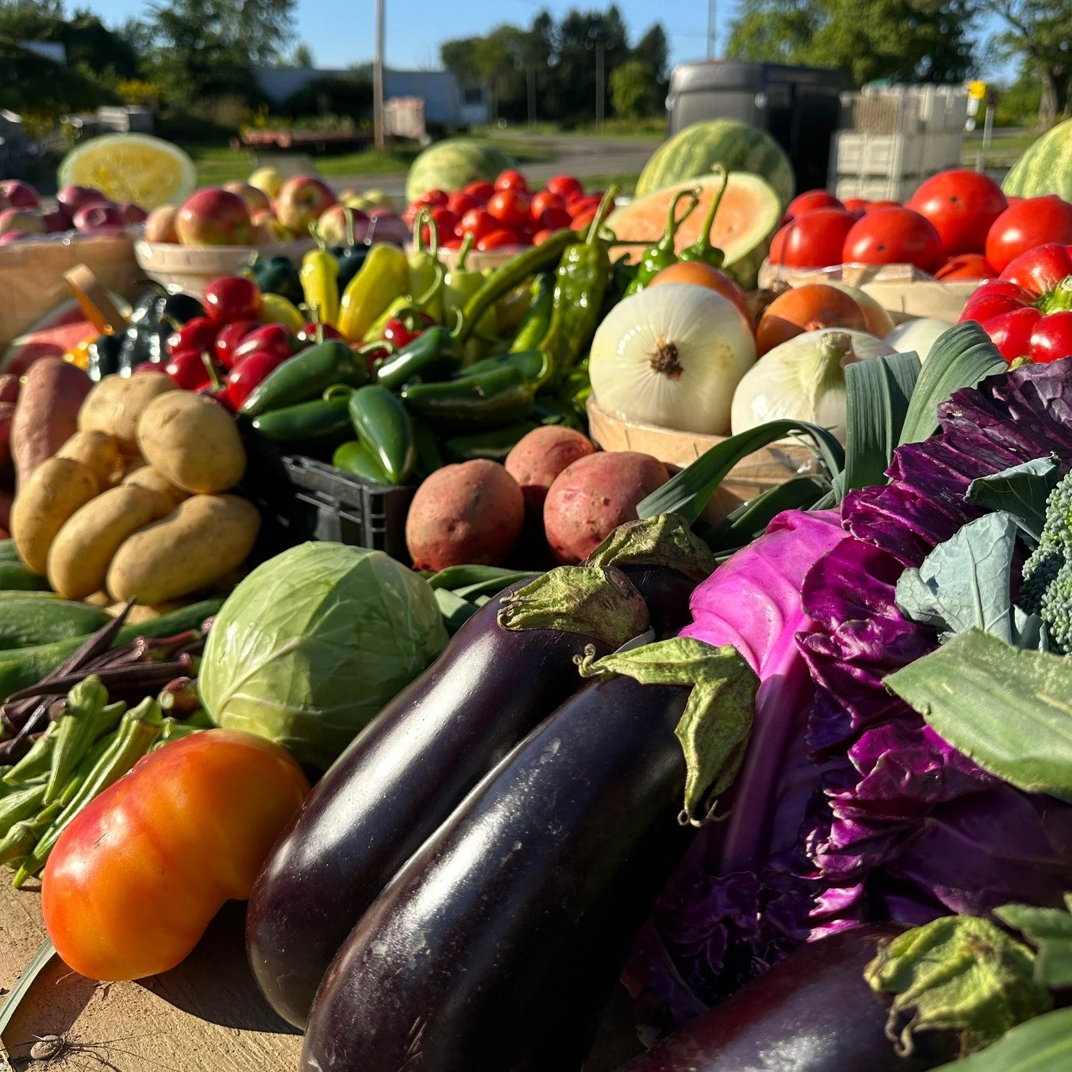 Because our produce is local it is picked when it is ripe and has the best flavor.  Which also means it has the best nutritional value it can get.  We raise a wide variety of colorful veggies.  A colorful diet has even better health benefits.  Consid