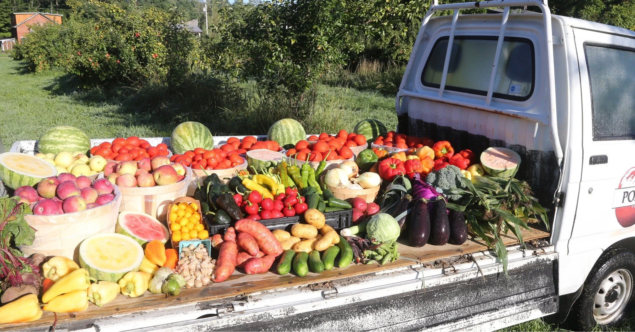 We grow a large variety of veggies.  I didn't know what kohlrabi was until we started growing it.  And now it is one of my favorite veggies.  With such a wide variety you can try something different and if you don't like it that's okay.  I always tho