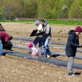 Did you know you can volunteer on our farm?  There are lots of opportunities to help out.  From planting seeds to picking veggies and even pulling weeds, we can always use your help.  You can also get a discount on your membership if you can help.  C
