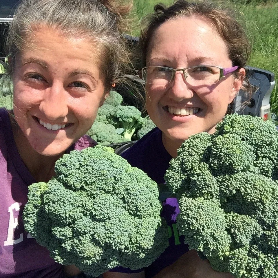 When being part of our CSA you know exactly where your produce is coming from.  You also have the opportunity to ask questions and come visit the farm.  Community Supported Agriculture.  Membership can be downloaded or purchased on our website, link 