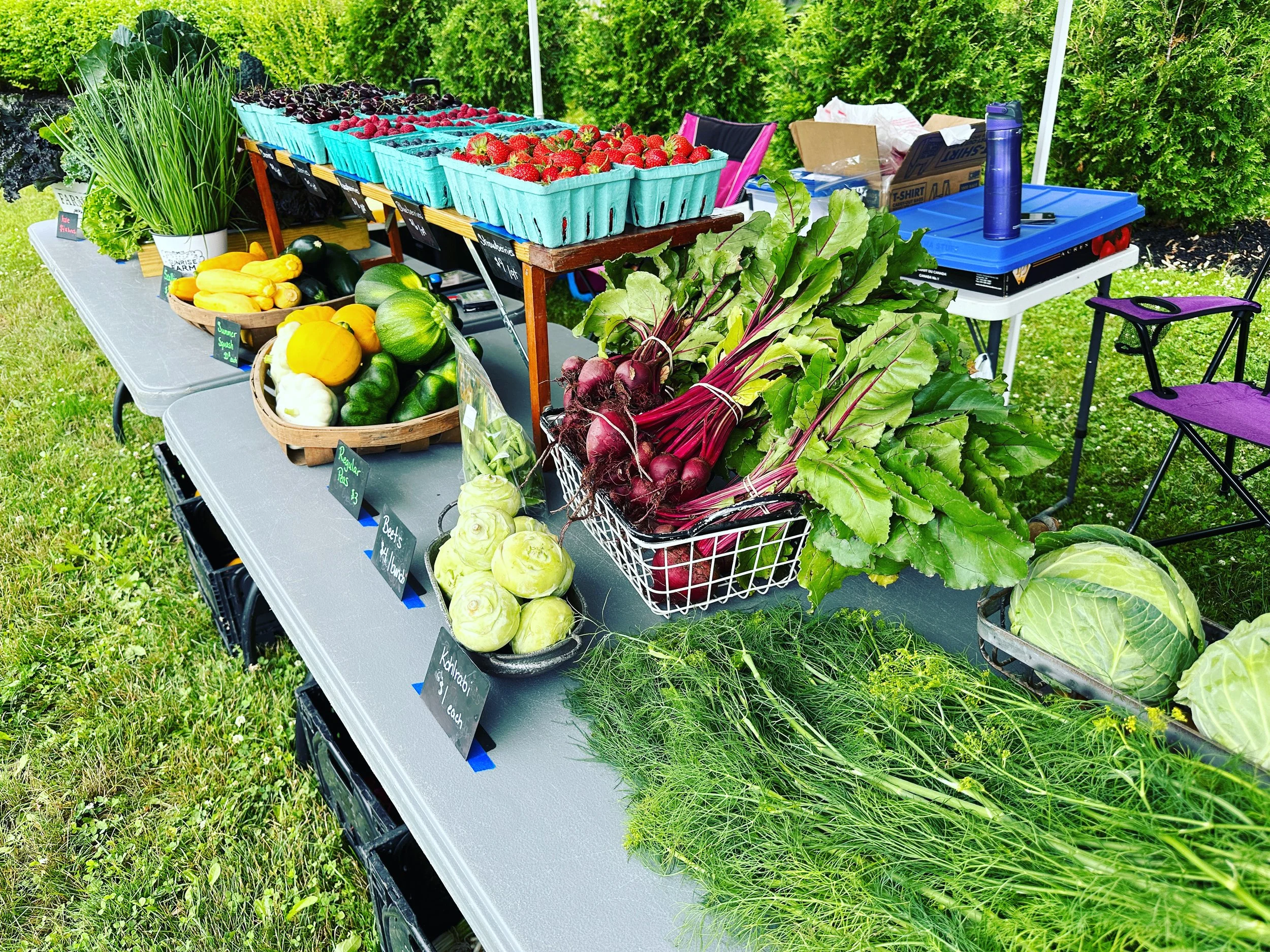 Little Italy Farmers Market