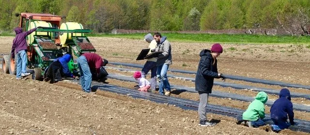 Dirt Under Your Nails Volunteer Event