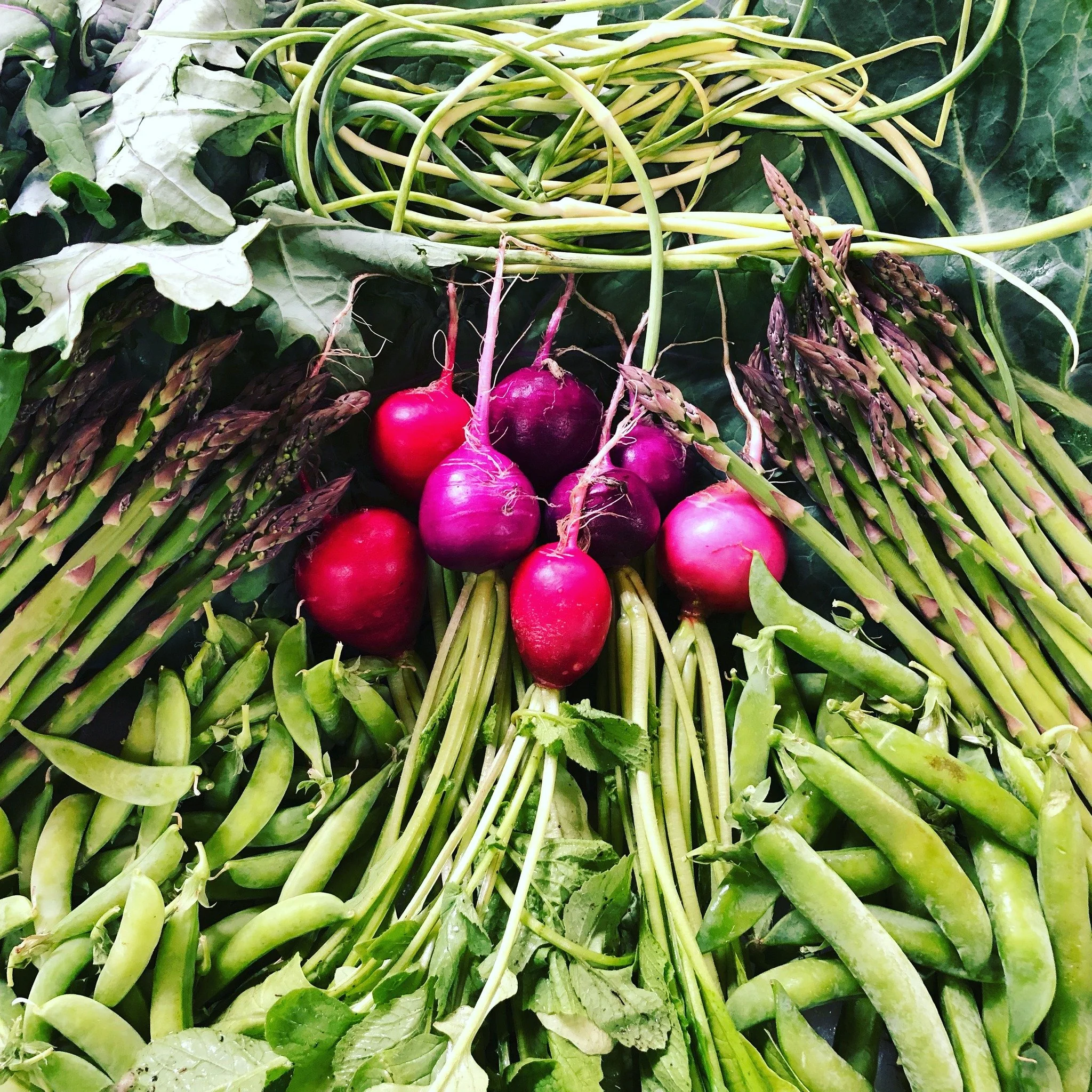 We are counting down the days till our 1st market of the season.  5 days until we set up at Frontier Park.  We hope to see you there, 10am - 2pm!