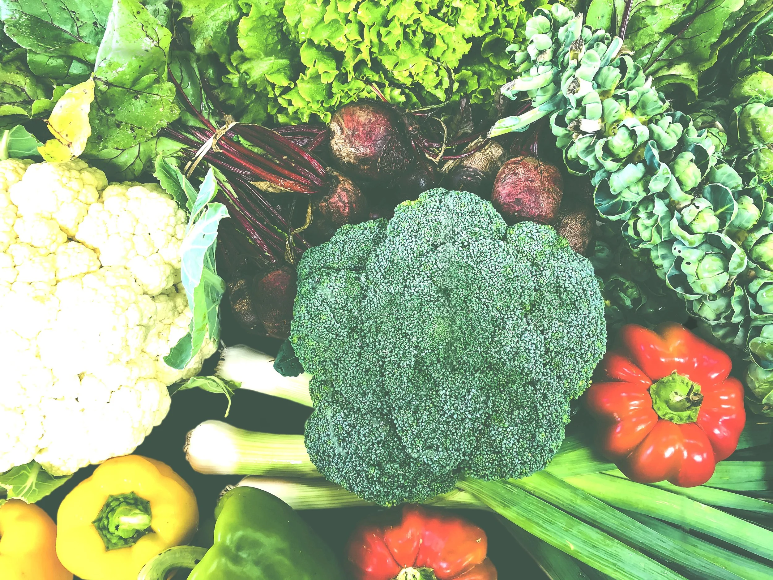 Mercyhurst Farmers Market