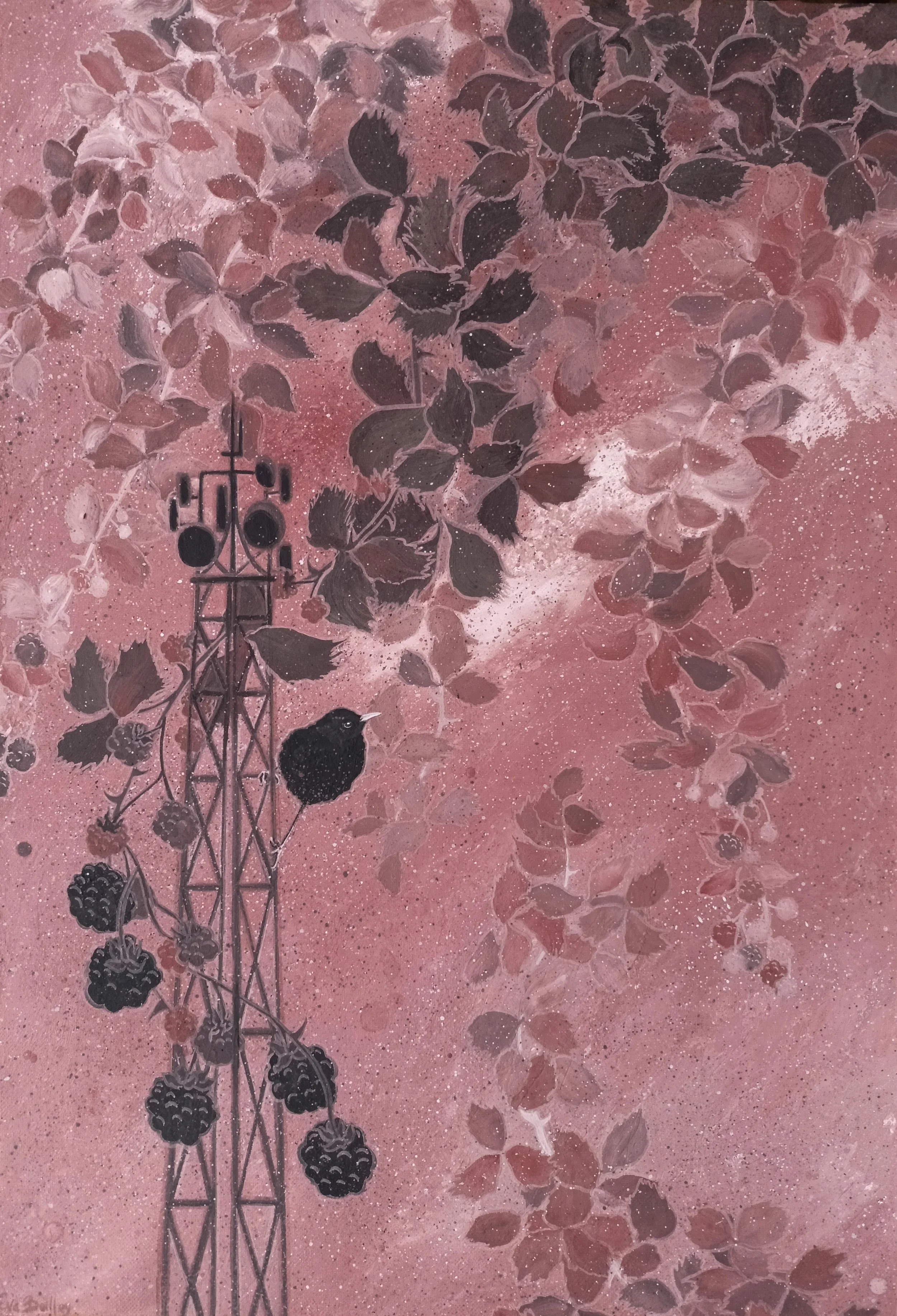 Wi-Frambuesa - Eva Boilley