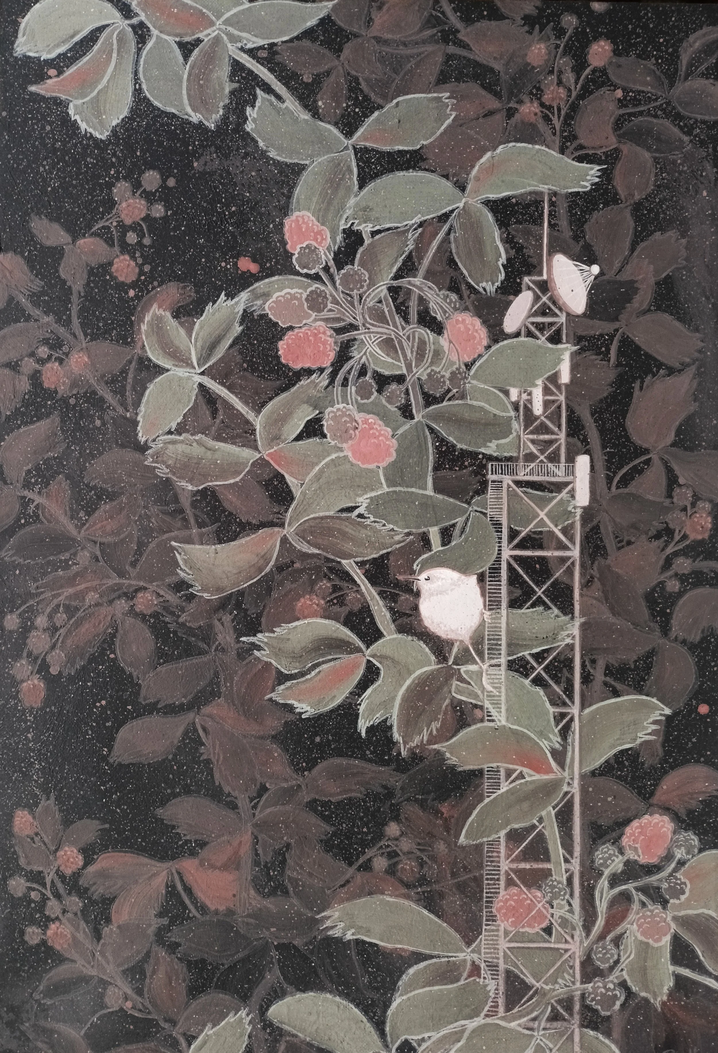 Zarzamora-Fi - Eva Boilley