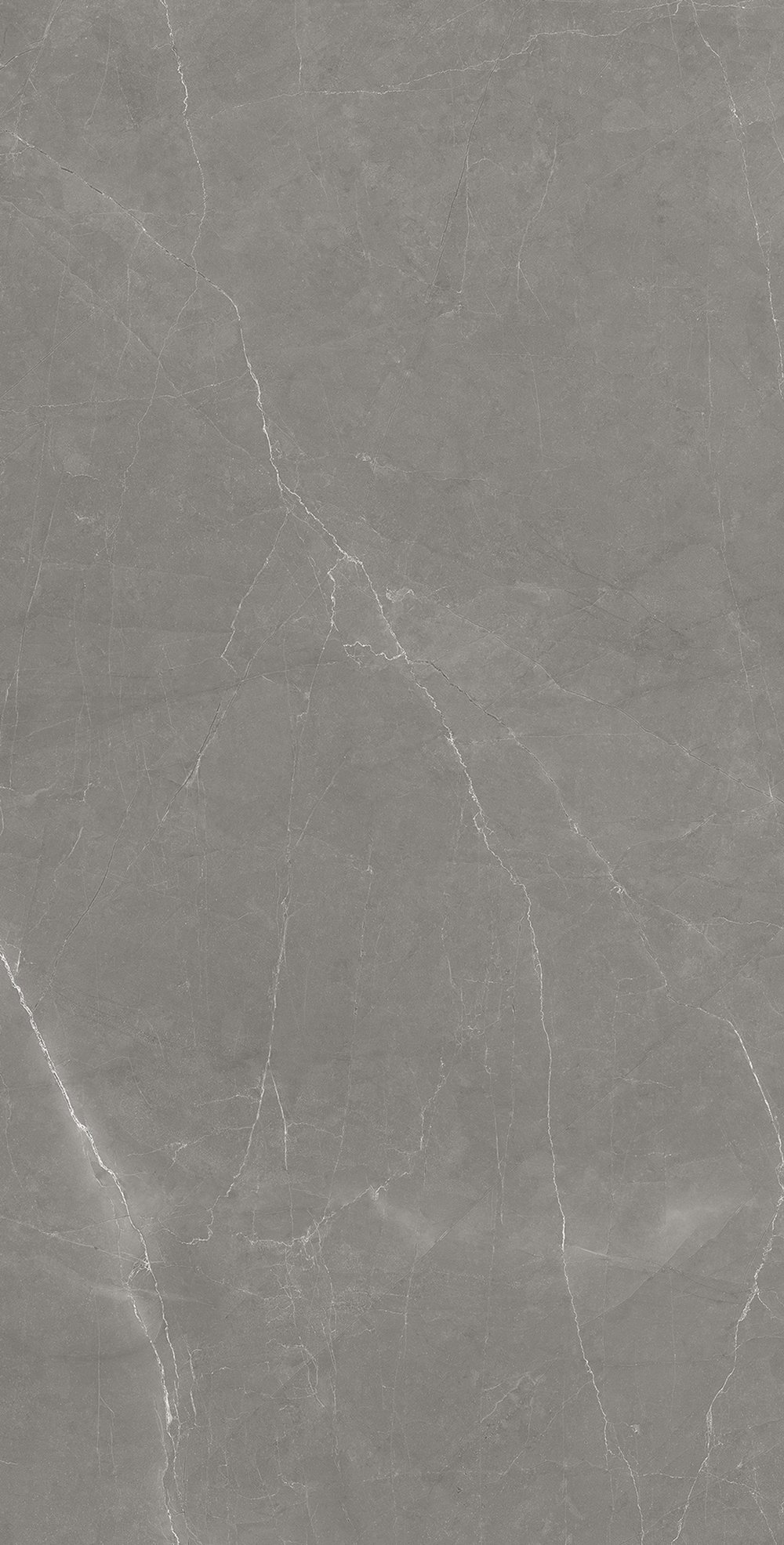Polaris+Grey+%285%29.jpg