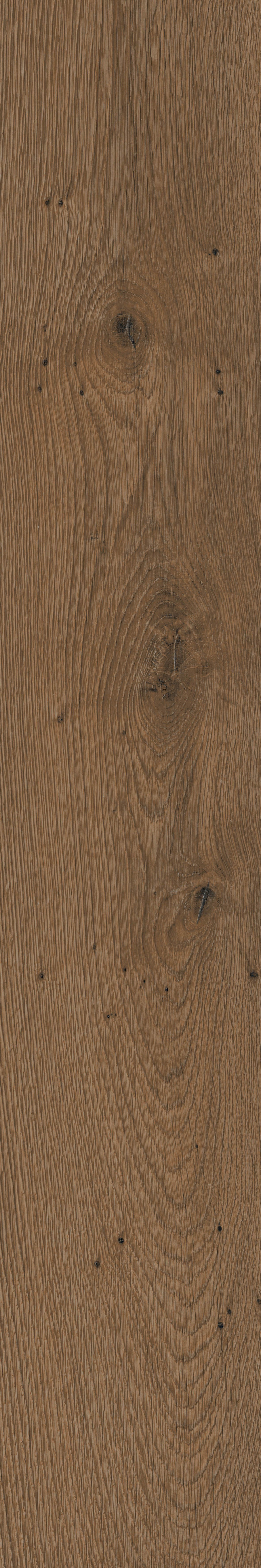 Corelli+Wenge+%283%29.jpg
