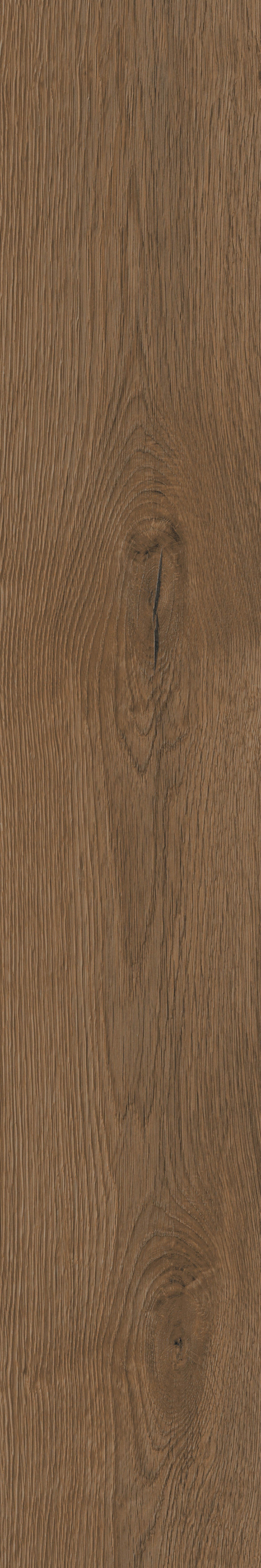 Corelli+Wenge+%286%29.jpg