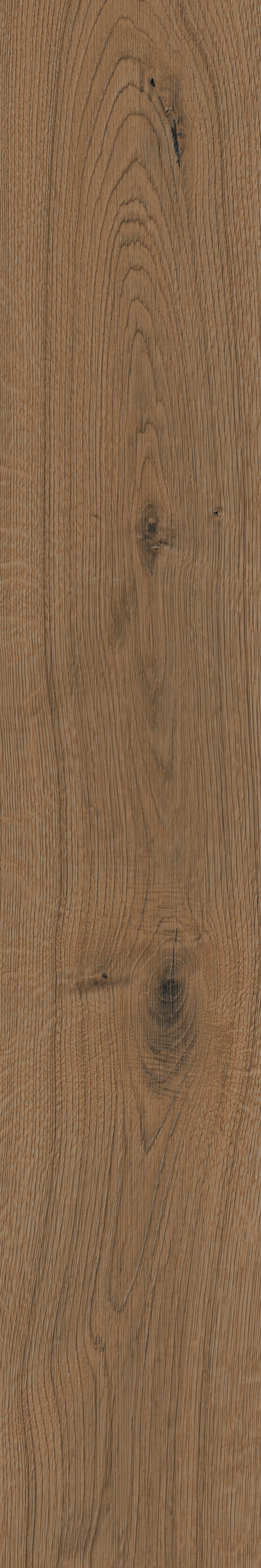 Corelli+Wenge+%281%29.jpg
