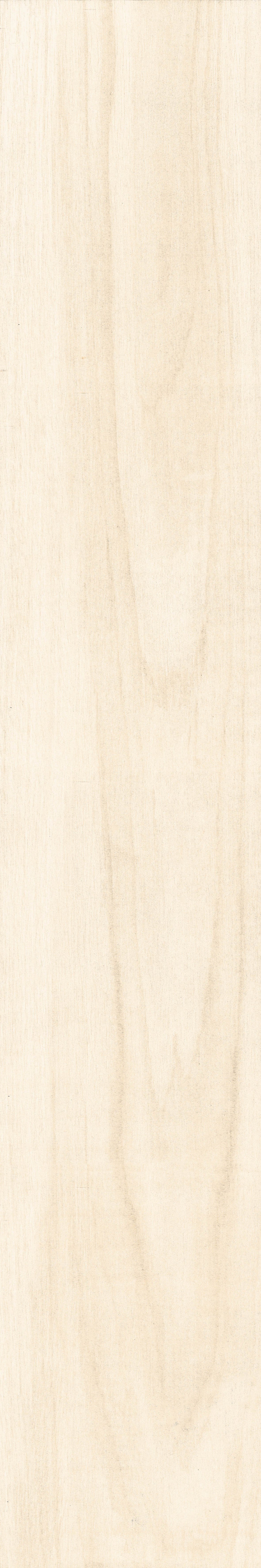 Chevalier+Ivory+%2811%29.jpg