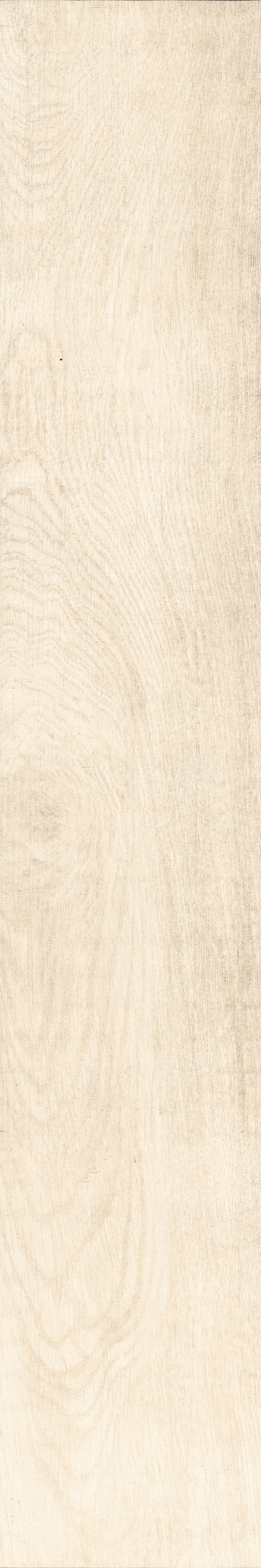 Chevalier+Ivory+%283%29.jpg