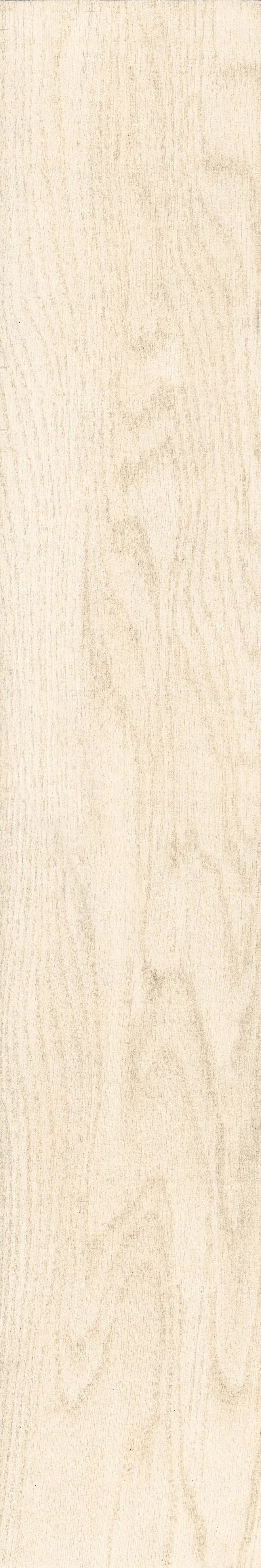 Chevalier+Ivory+%284%29.jpg